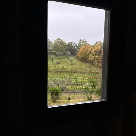 Casa di campagna A Casa Di Lallo Viterbo